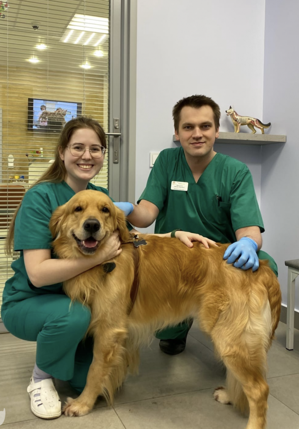 Zachráněná zvířata